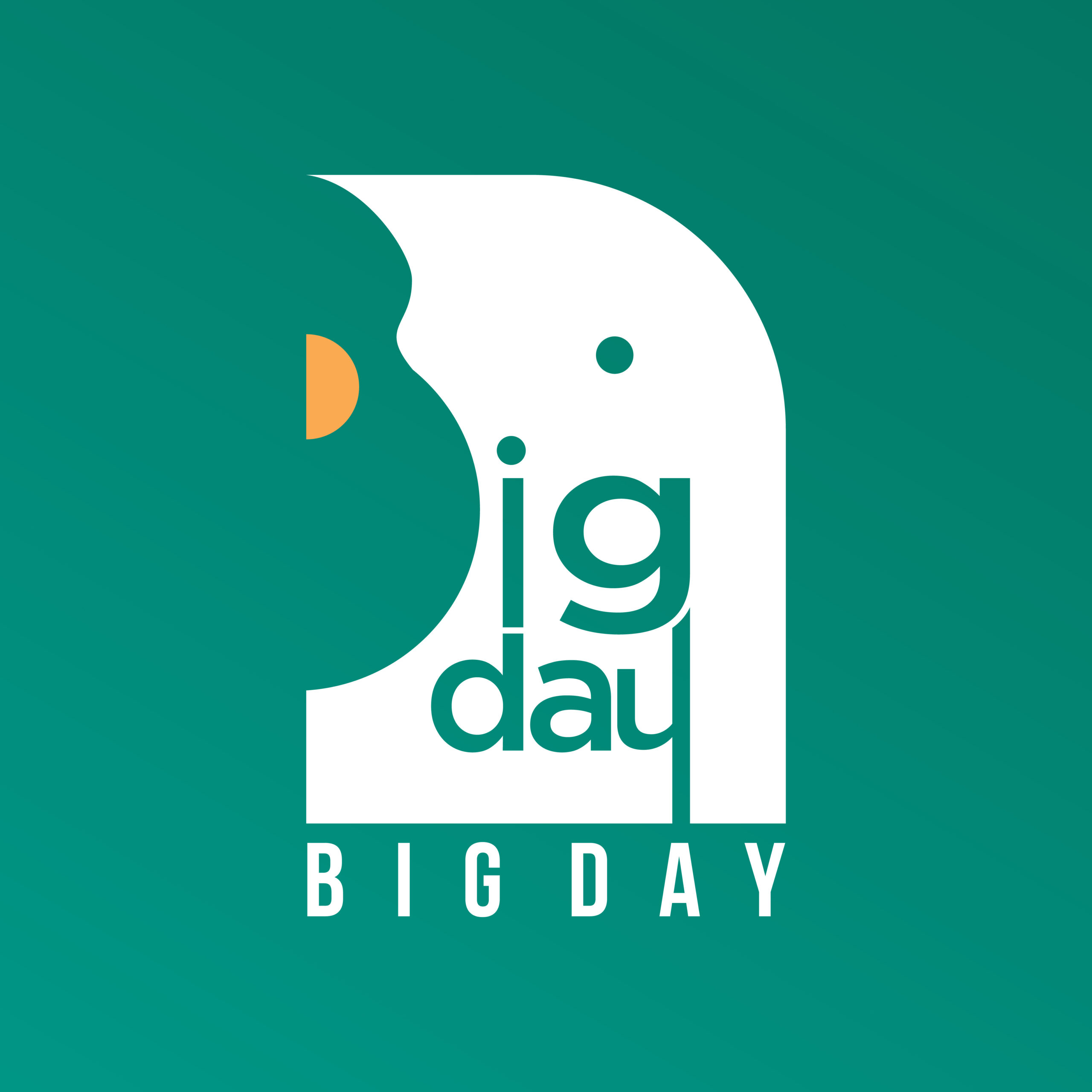 big day supermarket logo green